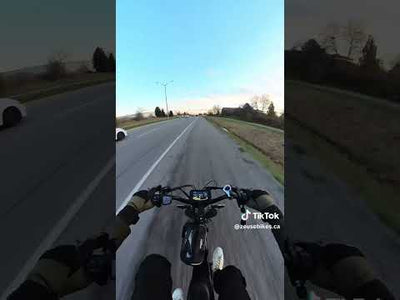 Ridstar Q20 Pro Dual Motor 2000W Retro Ebike