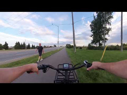 Meigi Silverado Fat Tire Folding Electric Trike