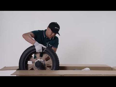 Z8 Moped-Style Electric Bike (Z8 / Z8S / Z8 Pro)