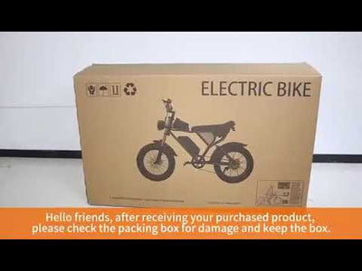 Ridstar Q20 Pro Dual Motor 2000W Retro Ebike