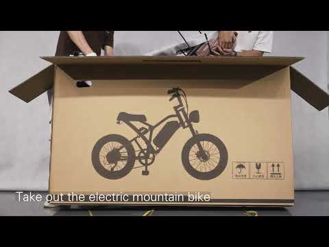 Euybike S4 Long Range Retro EBike