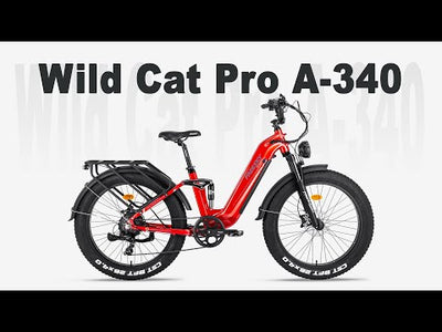 FREESKY Wild Cat Pro A-340 Step-Thru Full-Suspension Fat Tire eBike (1800W Peak)