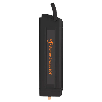 Electric Bike Battery 36v for A20