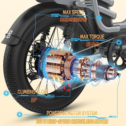 Fucare Gemini Dual Battery 1000W Ebike