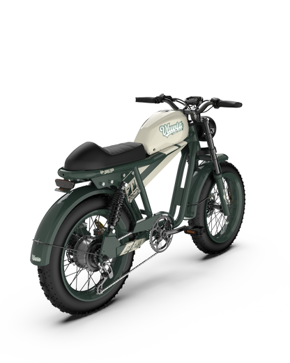 Vtuvia Tiger 750W Retro Ebike