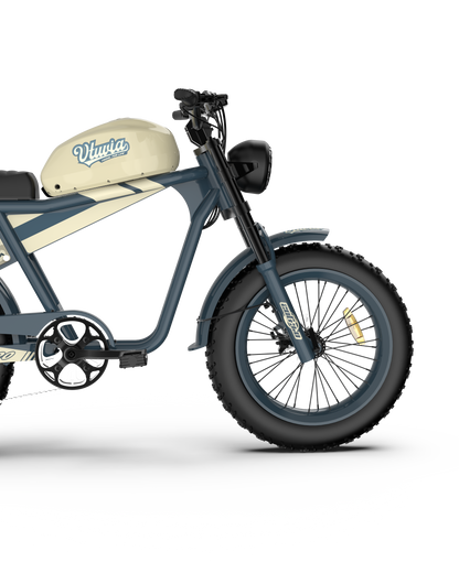 Vtuvia Tiger 750W Retro Ebike