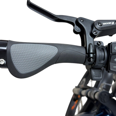 Taubik Axis handlebar grip, brake lever and control pad (Taubik photo) — Zeus eBikes Canada
