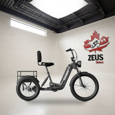 Taubik Axis full-suspension electric trike in Matte Black: Taubik's own photo set in the Zeus eBikes studio — Zeus eBikes Canada