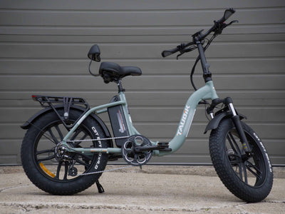 Taubik Escape S in Matte Sage Green, side view with rear rack and CST BFT fat tires