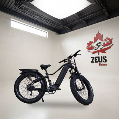 Taubik Westridge 4T Off-Road in Matt Black, drive side: Taubik's own photo of the bike, set in the Zeus eBikes studio