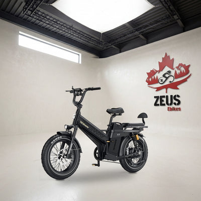 Tesway X7 Pro New in Black, front three-quarter view with the rear seat and backrest: Tesway's own photo of the bike, set in the Zeus eBikes studio
