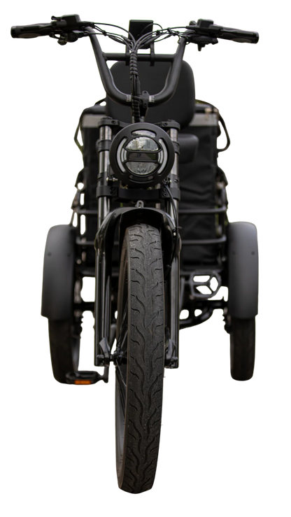 TAUBIK Pivot Electric Trike (48V 20Ah Samsung, Torque Sensor)