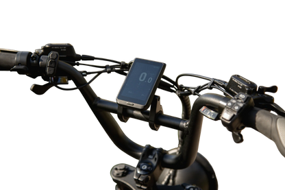 TAUBIK Pivot Electric Trike (48V 20Ah Samsung, Torque Sensor)