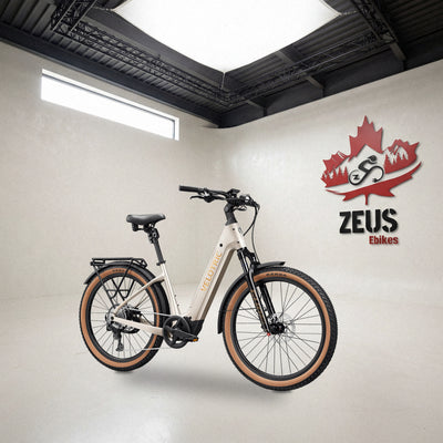 Velotric Discover M mid-drive step-through e-bike in Platinum Silver: Velotric's own photo set in the Zeus eBikes studio — Zeus eBikes Canada