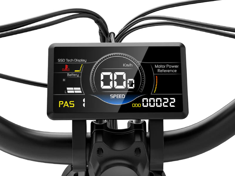 FREESKY Wild Cat Ultra A-340 – Full Suspension Step-Thru Fat Tire eBike (48V 25Ah)